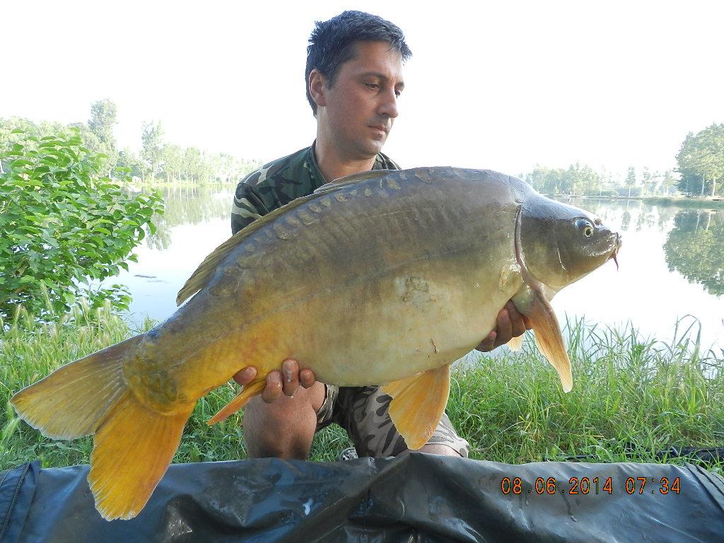 carpfishing 08/05/2014 - dscn2658.JPG